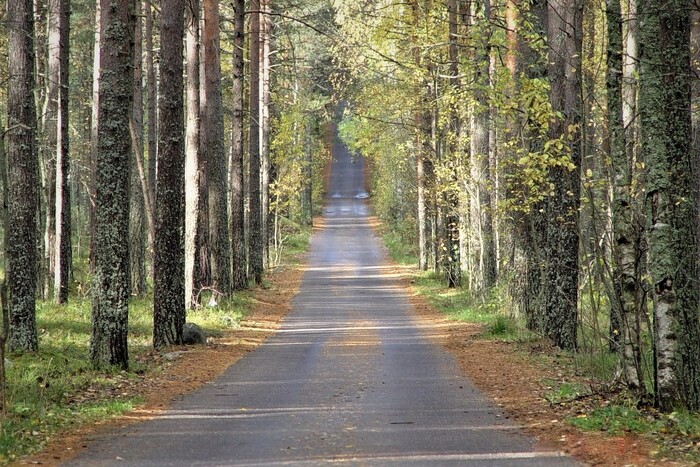 лето, дорога дачу