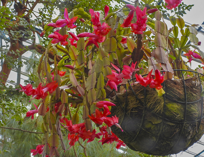 ����������� ���������. ��������� ������������� ���� ��� ���.