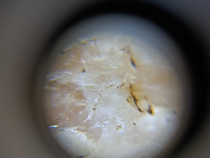 ����� � ���� �� ����� ���������������� ��������� � ������ ����