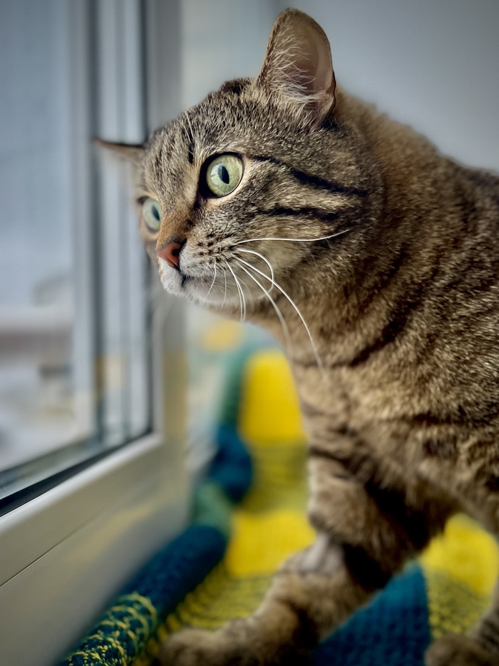 �� ��� ������� ��������� ������.