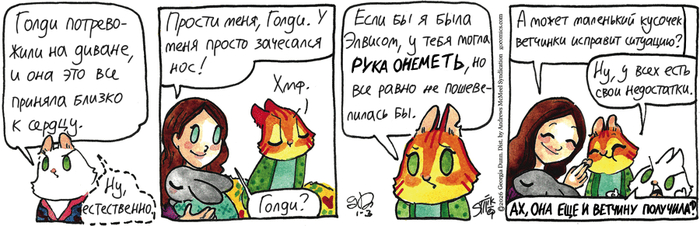 Котейкины Новости от 03.01.2026