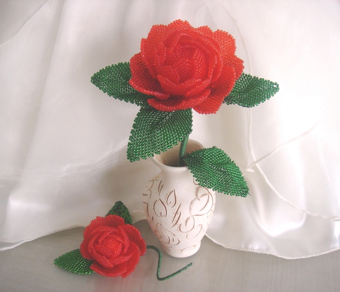 ������� ��������� ���������! �������� ����� �������?