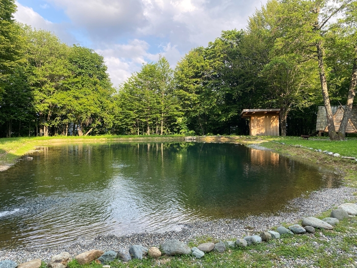 ��� ����� �� ���� �� ���������� �����, �� ����������, ������ ����