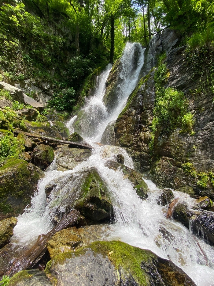 ������� �����