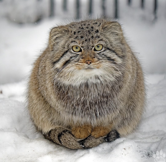 ����� � ������������ �������