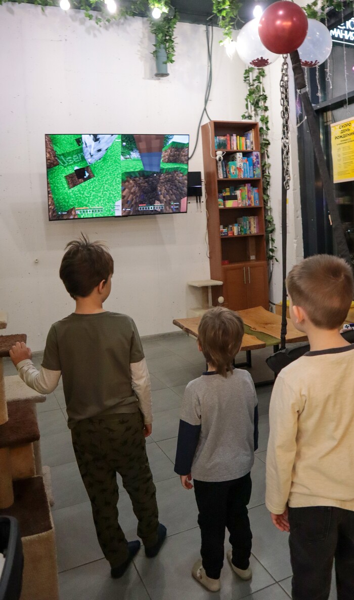 Все пришли смотреть катку. Майнкрафт: 1, кошки: 0.