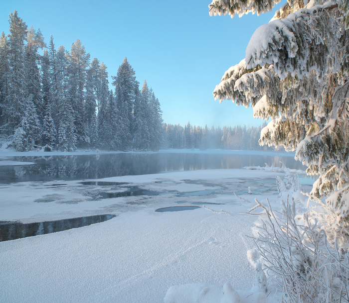 Зимний вид у теплого озера