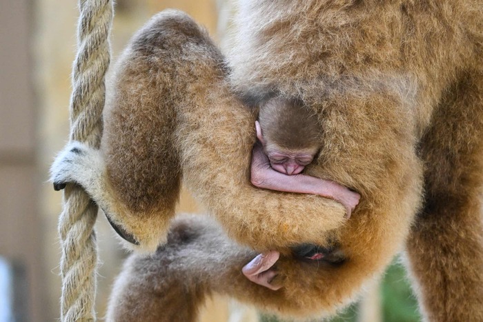 ��������, �������. ������� ���������� ������� ��������� �� ���� ����, �� ����� ������������ ��������������� ��������� � ������������ ��������. ����������: ���� �������.