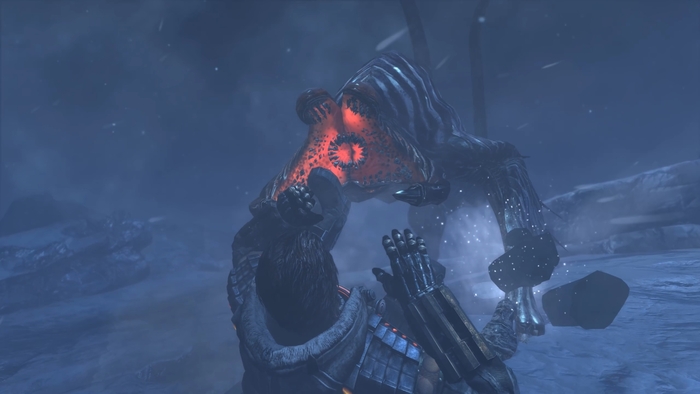 Местные нам не рады