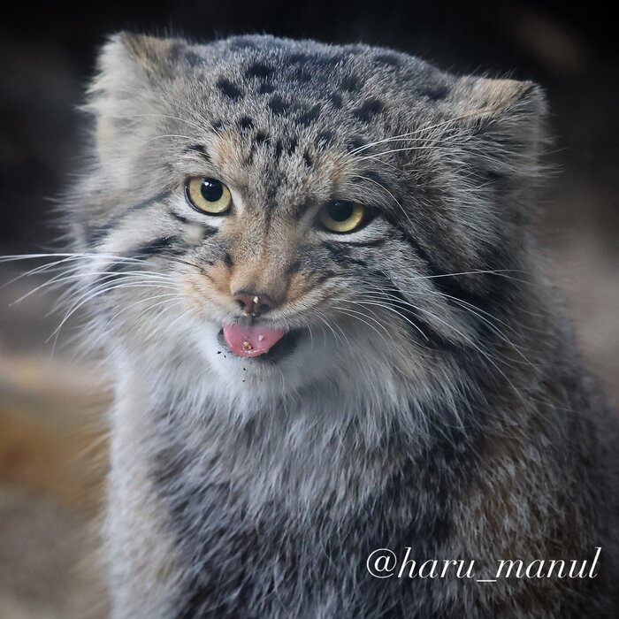 ������ ������� ��� ���� �������� ����!�