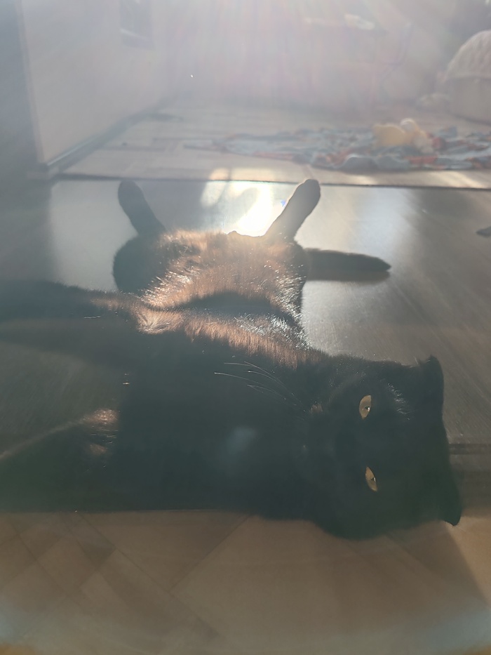 Шел 4 день нового года