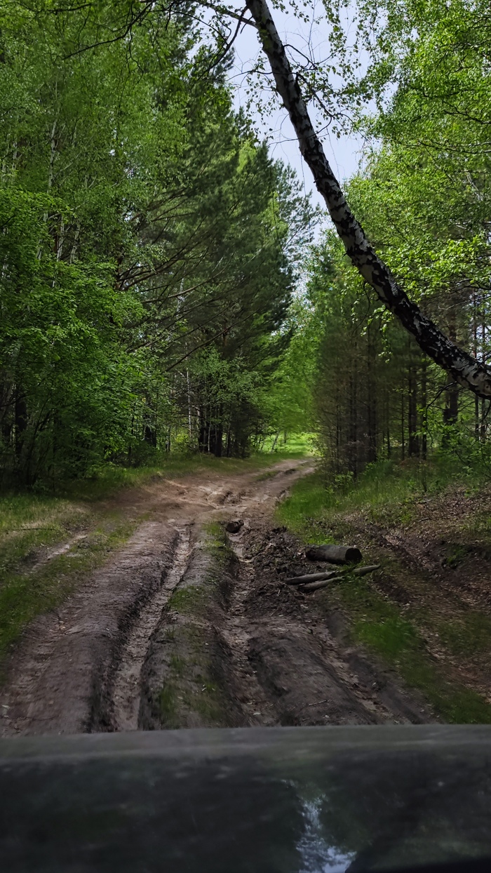 ��������� �������