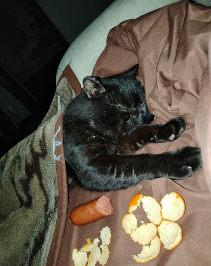 4 ������...