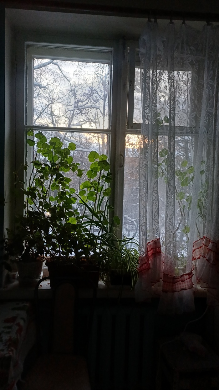 ��� ������ � ������ �����