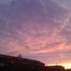 ����� ����� ������ ���� �����������