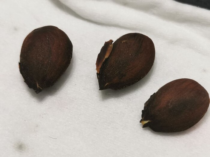 � ������ ������ ����� ��������. �� ���� ��������. ���� ��... ���������� �� �������. �����!