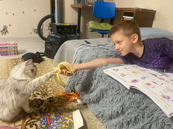 ����� �� ���� �������� ���������