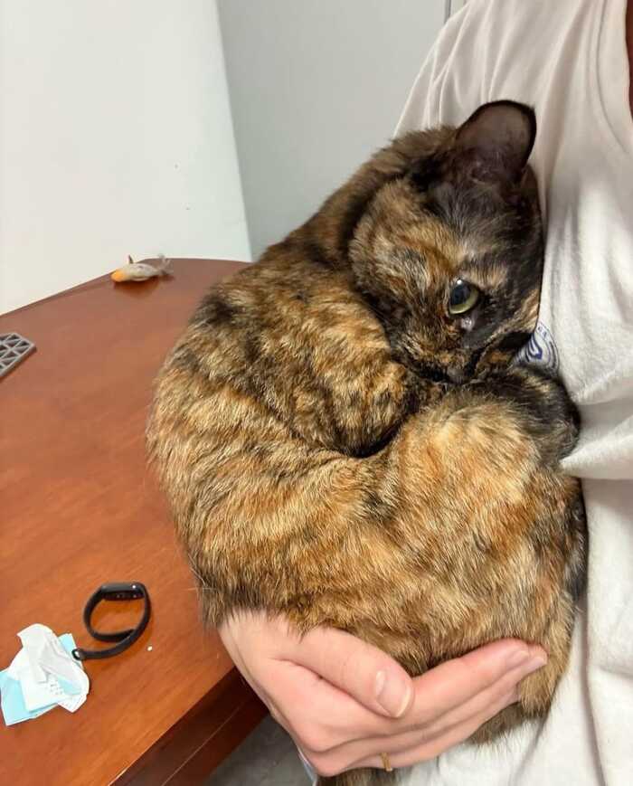 �������