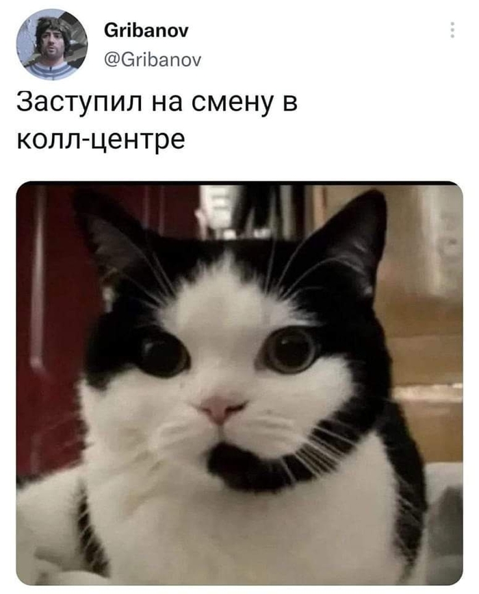 ����� ��������� ������ ������