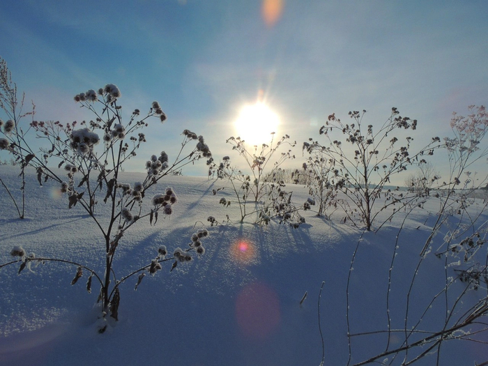 ������� ��������