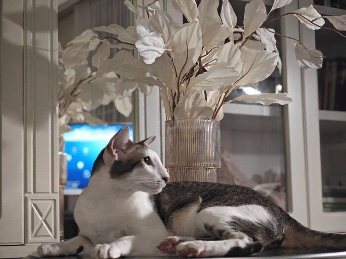 - ������� ������?