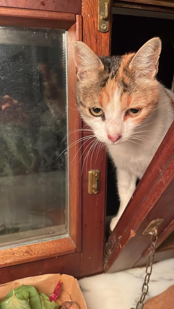 ������-�����