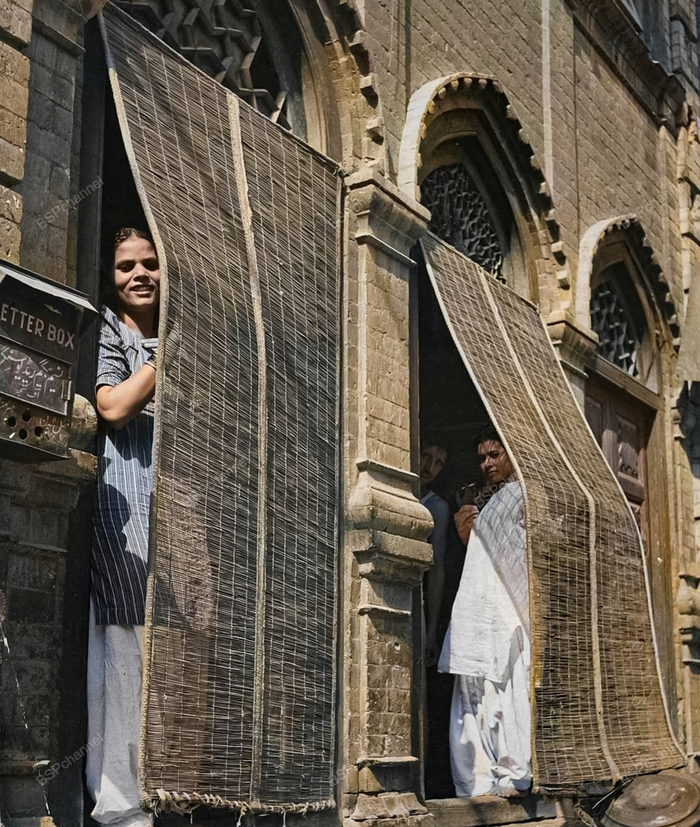 ��������: �������� ����-����