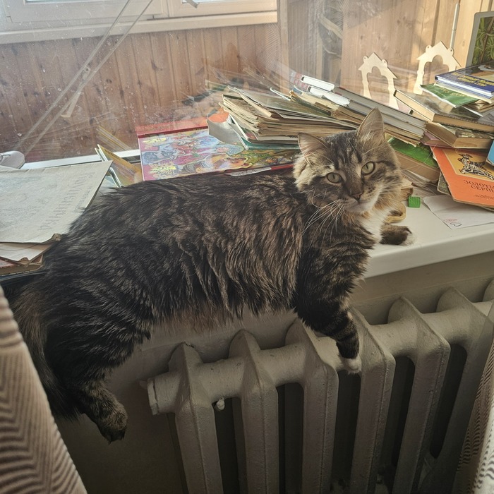 ������ ����� ��������...