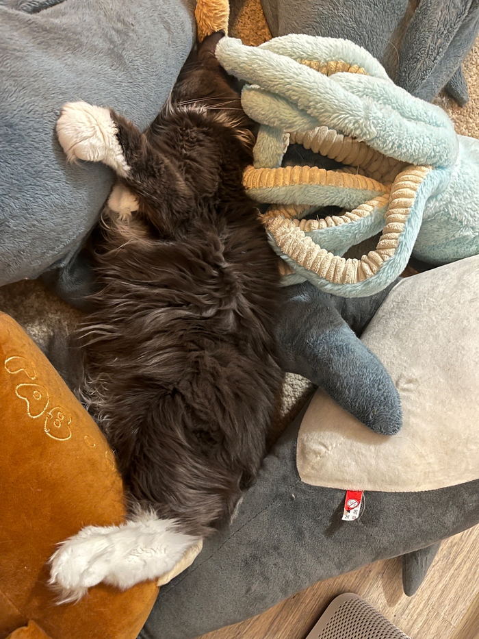 ���� ��������� � ������� - �������� �������� �� ������...