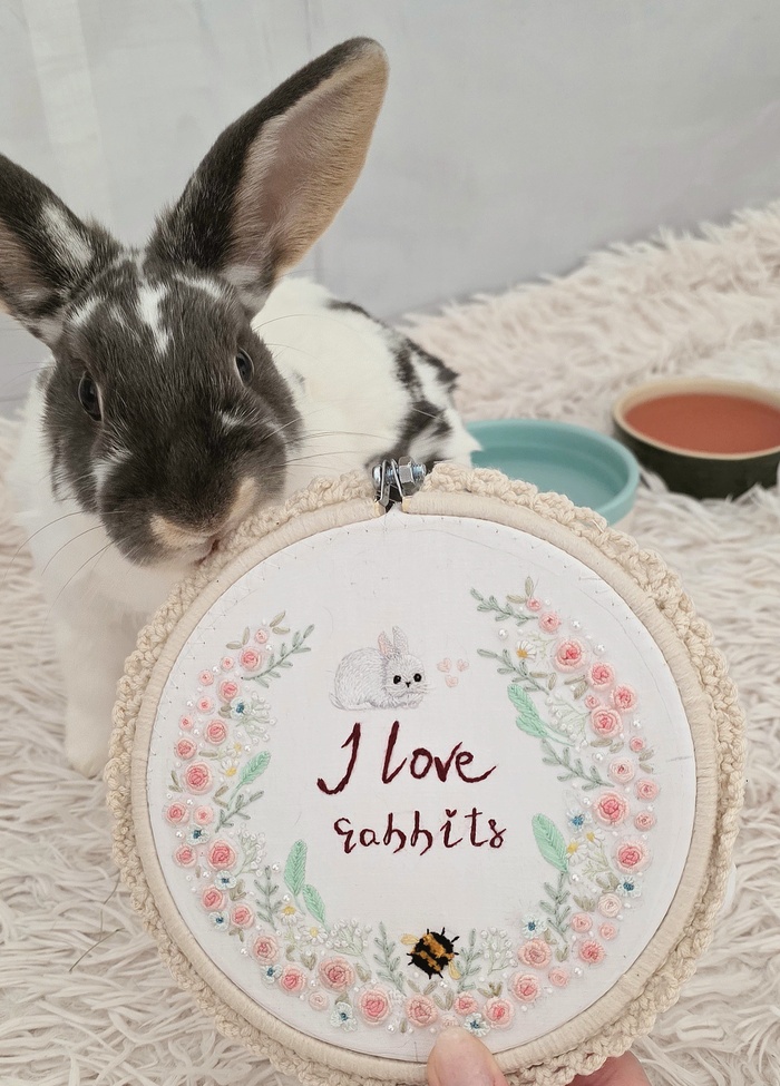 ���� ������ ������ �������)