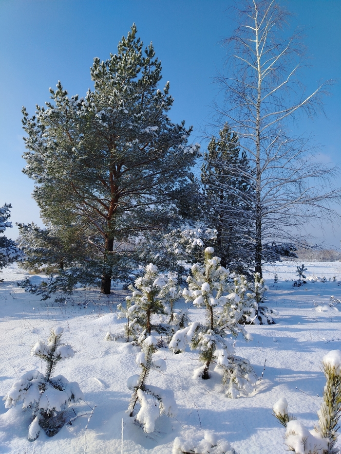 ��� �������� ������� ������� �������, ���� � ����� ��������� �����!