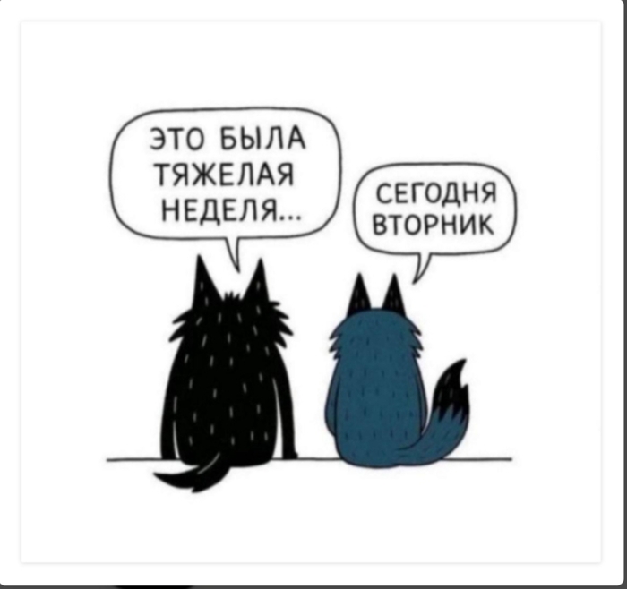 ����� ������� ���� ������?