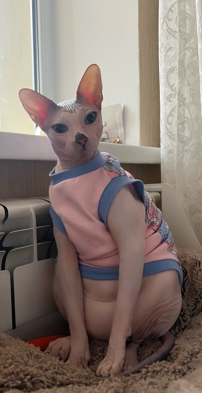 ����� ���� ��� ������