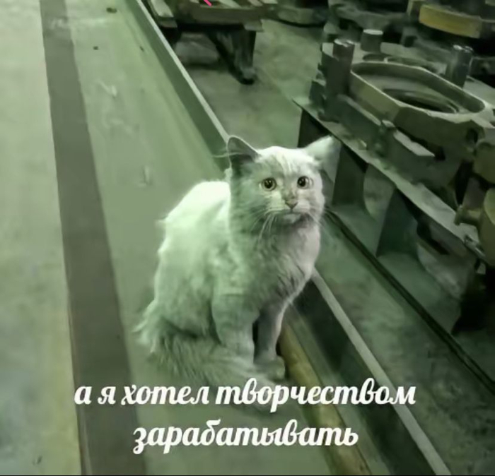 ���� �������� ����������� � 2026?