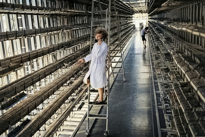 ����: ������ ����������