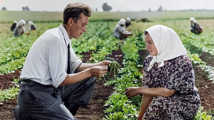 ��������: �������� �������