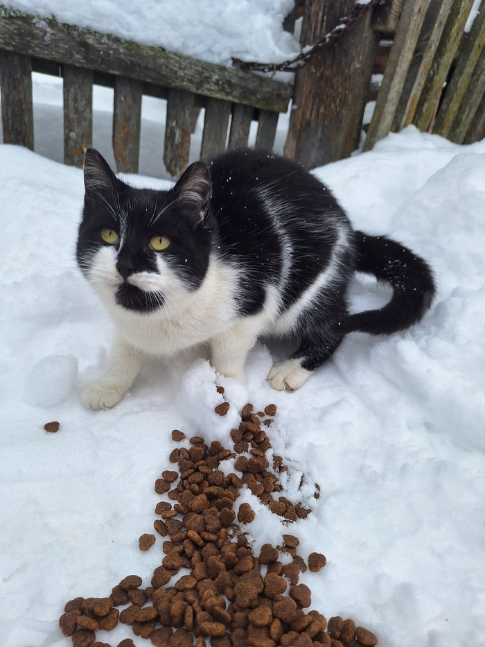 ����� ���! ������ ���������. �����-���������