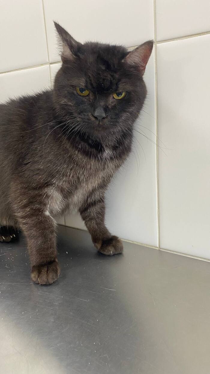 ������ ����������� � �����������!