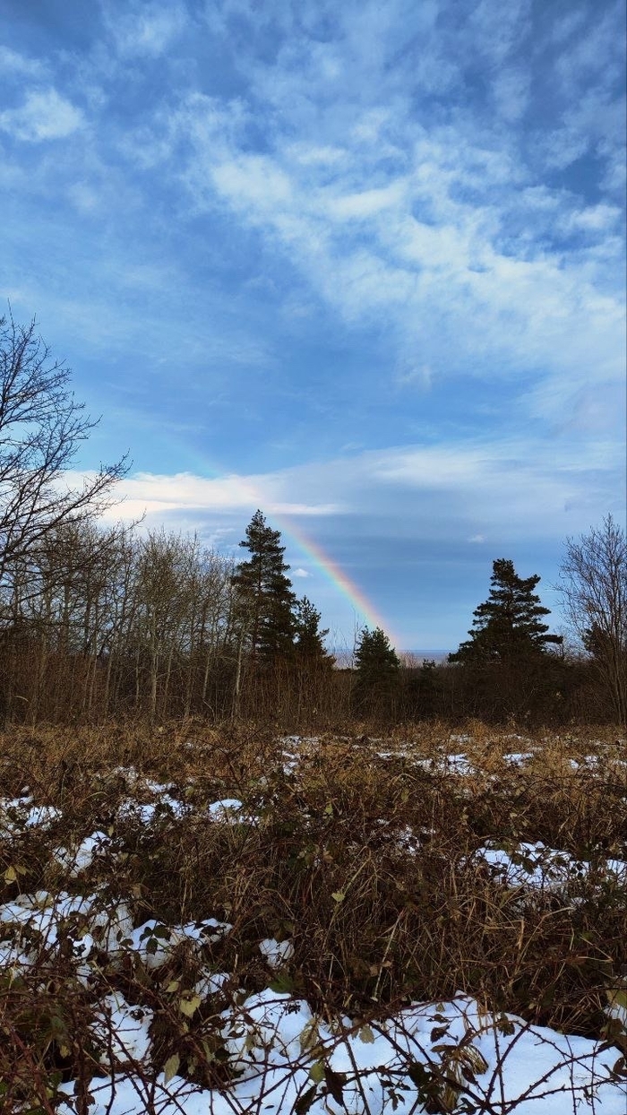 ������, ����: ���� ������