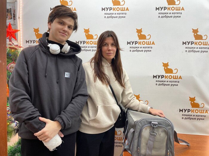 Кот Лучезар уехал из приюта домой 2 января 2026 года