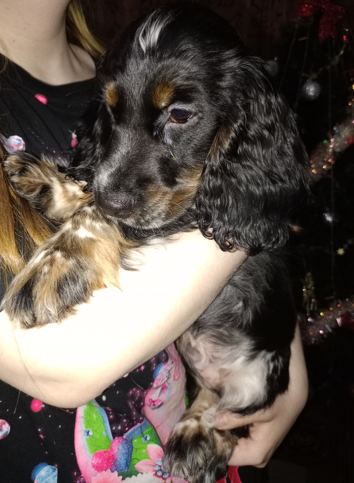 �� ����� ��������...