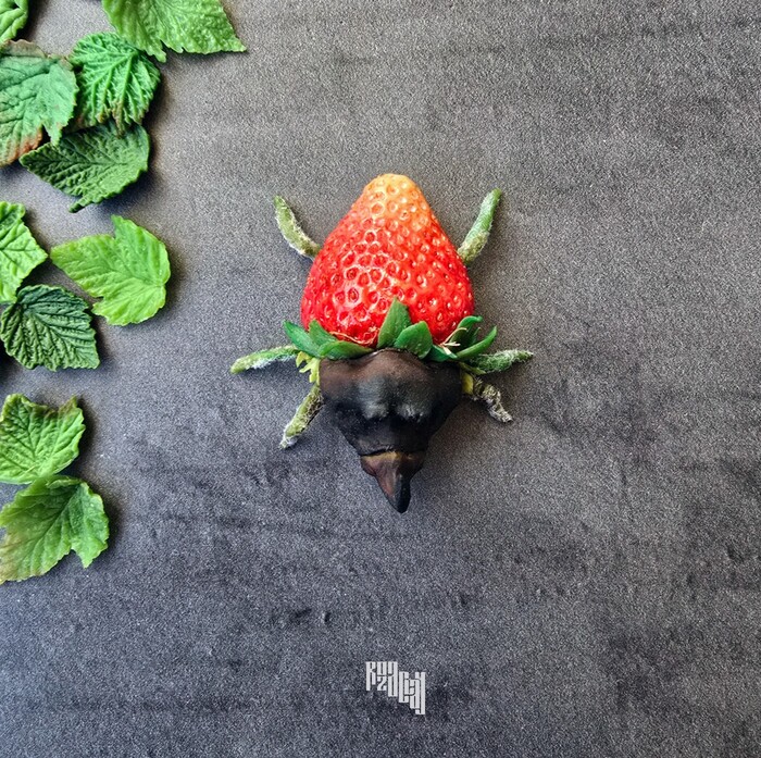 5 �� � �����