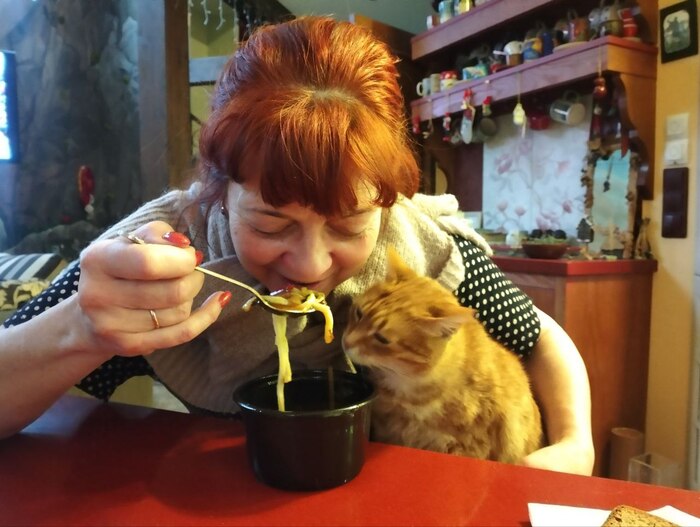 ������ ������