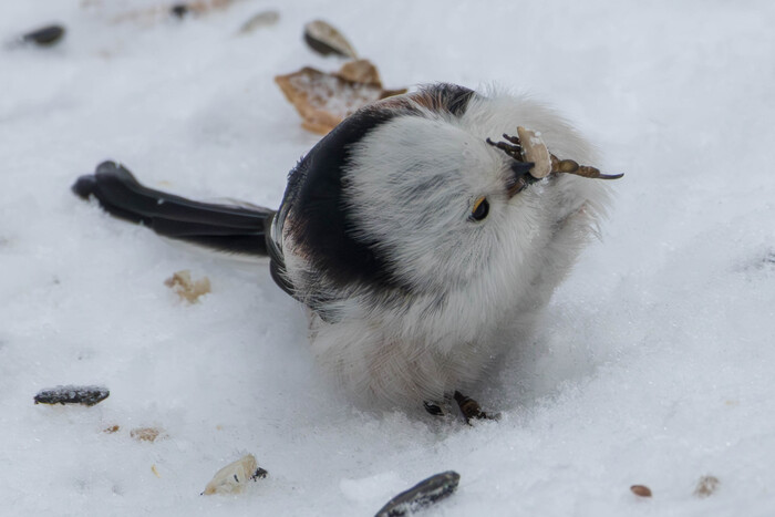 ����! � ��������) 