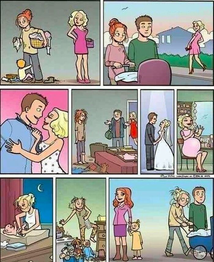 Круговорот мужчин в природе