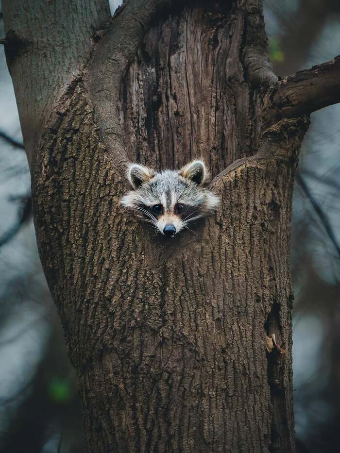 �� ��� �����?