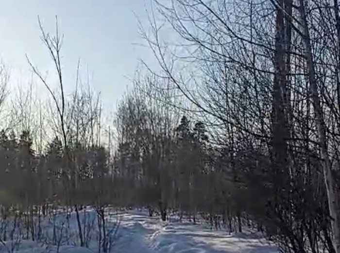 ������� ��������, ����������� ��� ���������� �0303 � 1944-1945 �����