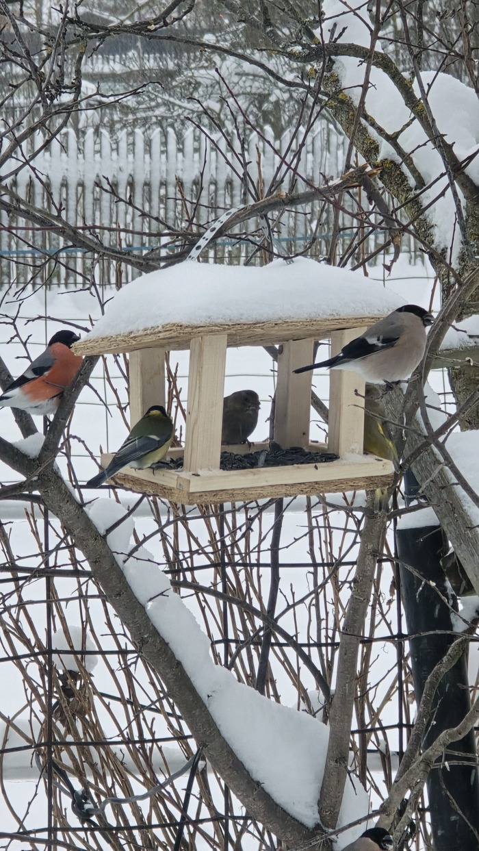 ������ � ����� �����. 