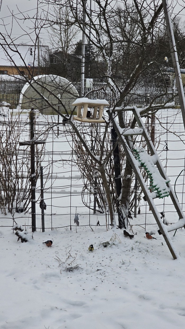 �� ����� ���� �� 20-25 �� ��� ��������� �����������