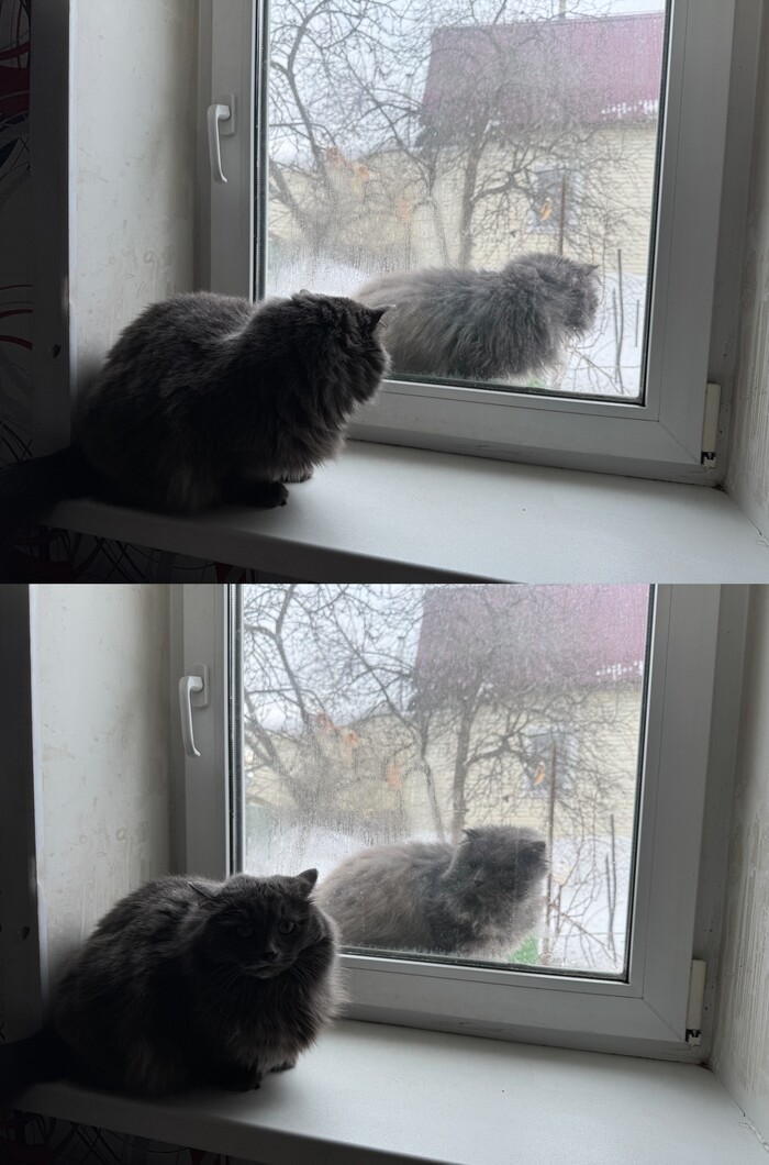 ����� �� ���� ��������������